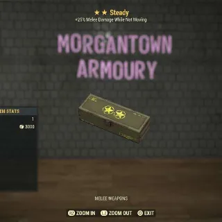 Other | Steady Mod 2⭐