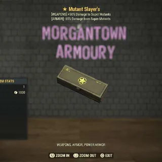 Other | 5x Mutant Slayer's mods ⭐