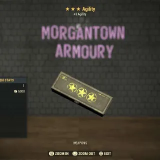 Other | Agility Mod 3⭐