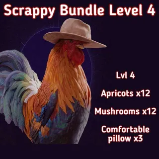 Scrappy Upgrade Level 4