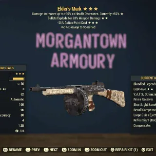 Weapon |Bloodied E/25 Elder mark