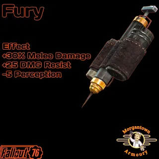 Aid | 100 Fury