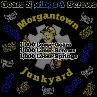 Junk | 1,000 Gears Springs & Screws