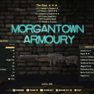 Weapon | Assassins 25/25 Fixer