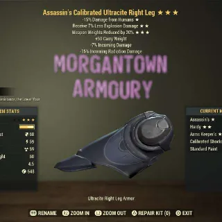 Apparel | Assassins EXP/WWR Ultra RL