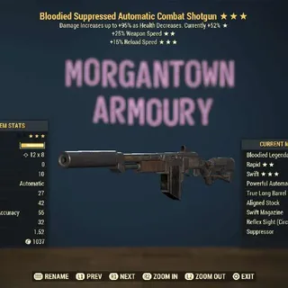 Weapon | Bloodied 25/FR Combat SG