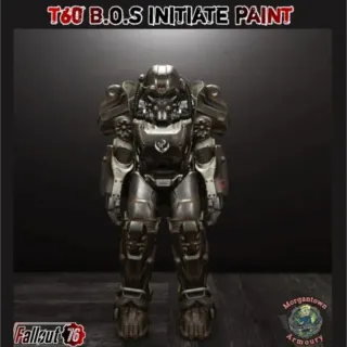 T60 BOS Initiate paint