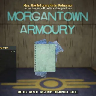 Plan | 50x Shielded lining raider