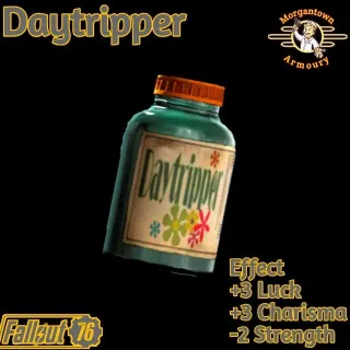 Aid | 500 Daytripper