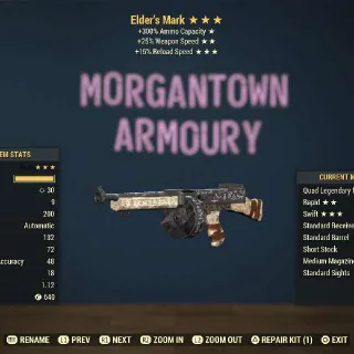 Weapon | Quad  25/FR Elder mark