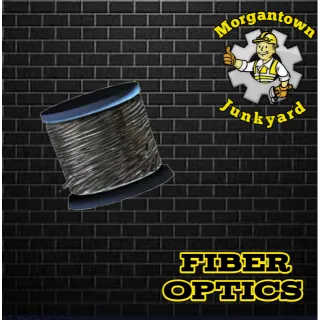 Junk | 1,000 Fiber optics