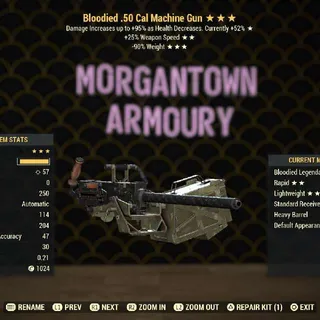 Weapon | Bloodied 25/RW .50 Cal