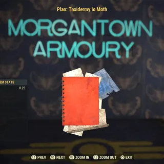 Plan | Taxidermy lo Moth
