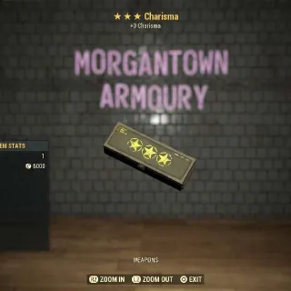 Other | Charisma Mod 3⭐