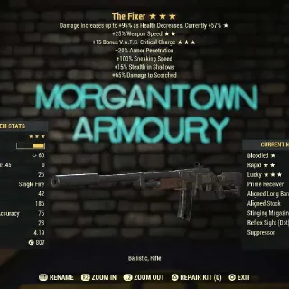 Weapon | Bloodied 25/C15 Fixer