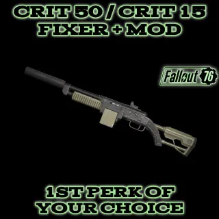 Weapon | C50 / C15 Fixer + Mod