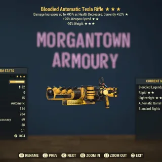 Weapon | Bloodied 25/RW Tesla