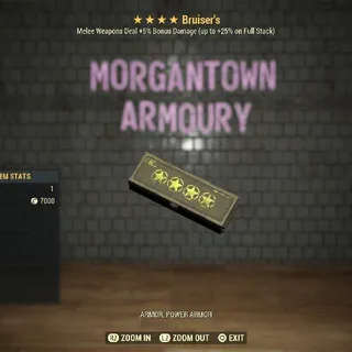 Other | Bruiser's Mod 4⭐