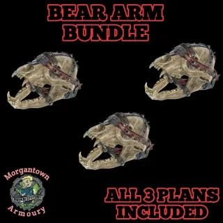 Plan | Bear Arm Plan Set