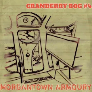 Other | 500 Cranberry bog #4