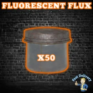 Junk | 50 Fluorescent Flux
