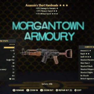 Weapon | Assassins 25/FR Handmade