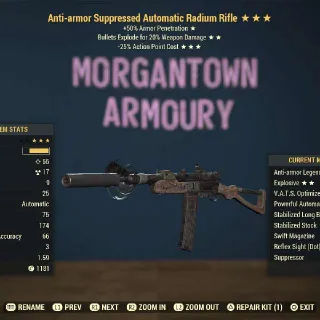 Weapon | Anti Armour E/25 Radium