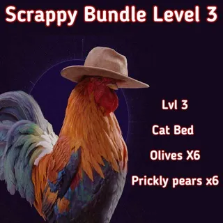 Scrappy Upgrade Level 3