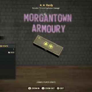 Other | 5x Hardy Mods 2⭐