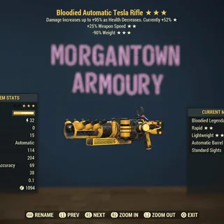 Weapon | Bloodied 25/RW Tesla