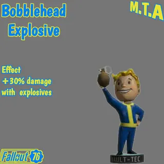 Aid | 300 Explosive Bobbleheads