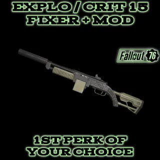 Weapon | Explo/C15 Fixer + Mod