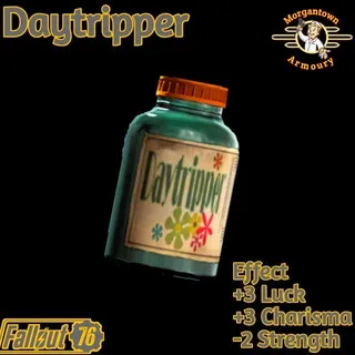 Aid | 500 Daytripper