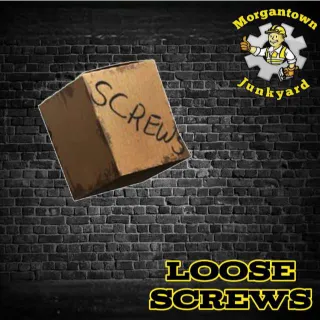 Junk | 25,000 Loose Screws