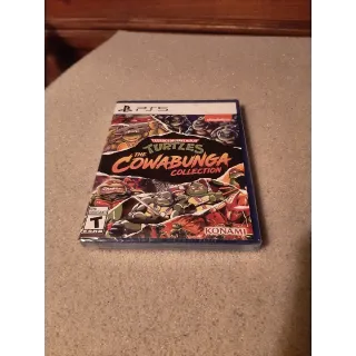 Teenage Mutant Ninja Turtles: The Cowabunga Collection (Disc)