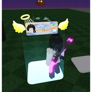 HOOD CUSTOMS FRAME LIGHTBRINGER