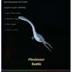 FOSSILIZED PLESIOSAUR