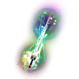 MAGICIAN'S CLUSTER | MAGICIAN CLUSTER | MAGICIANS CLUSTER