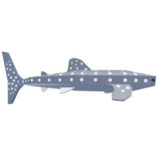 Shiny Blessed whale shark