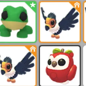 Apple owl x8 others pets