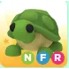 turtle NFR