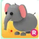 elephant R 