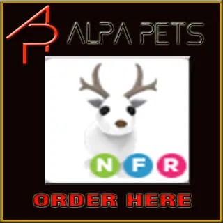 Pet | NFR ARCTIC REINDEER