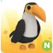 toucan NEON 
