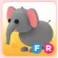 Pet | FR ELEPHANT 