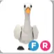 swan FR