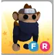 ninja monker FR
