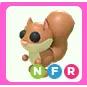 Pet | NFR RED SQUIRREL