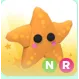 starfish NR