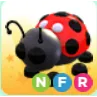 ladybug NFR